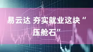 易云达 夯实就业这块“压舱石”